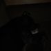 Profile Picture of David Spratling (@david.spratling.7370) on Facebook