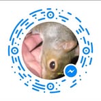 Profile Picture of Alice Crusenberry (@alice.crusenberry.3) on Facebook