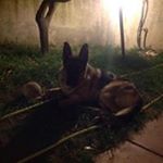 Profile Picture of Saverio Rocca (@roccasaverio) on Instagram