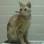 Profile Picture of Kim Sitton (@tomandkim11296) on Instagram