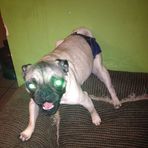 Profile Picture of Amber Angulo (@amber.figueroa.108) on Facebook