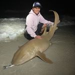 Profile Picture of Nicholas Costanzo (@nick.costanzo88) on Instagram