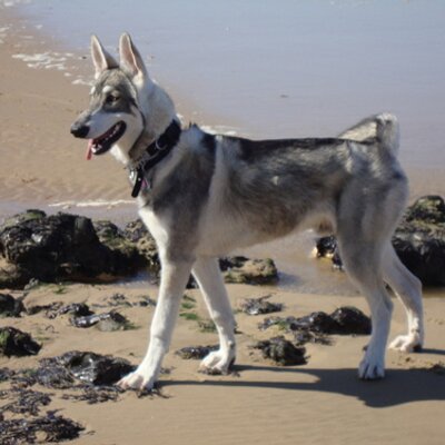 Profile Picture of Derek Sadler (@dels202) on Twitter