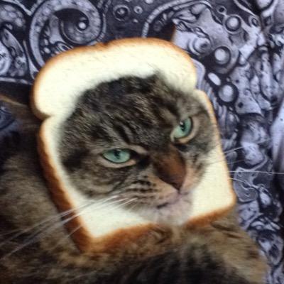 Profile Picture of Boofa (@rebelo_jason) on Twitter