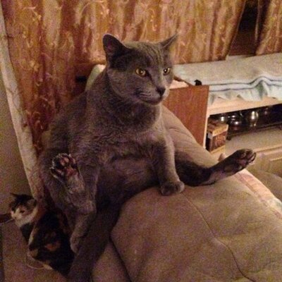 David Huet - Twitter Profile Picture of David Huet (@blaidencortel) on Twitter