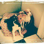 Profile Picture of marisol colmenares (@marisolcolmenares41) on Instagram