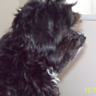 Profile Picture of Dylan Wightman (@dylan.wightman.3) on Facebook