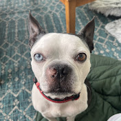 Profile Picture of Whitney Lambert (@whitneyyoung7160) on Youtube