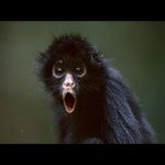 Profile Picture of Mark Mcgann (@joe909090) on Instagram