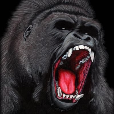 Profile Picture of James Easter (@Rampage1906) on Twitter