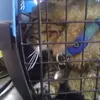 Profile Picture of darrendaugherty7 (@darrendaugherty7) on Tiktok