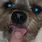 Profile Picture of Brian Savak (@brian.savak.56) on Facebook