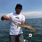 Cody Welsh - Instagram Profile Picture of Cody Welsh (@codyhunting7) on Instagram