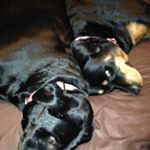Profile Picture of Bob Kirkpatrick (@bob.kirkpatrick.946) on Instagram