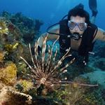 Profile Picture of Greg Bumpus (@gregbumpus) on Instagram