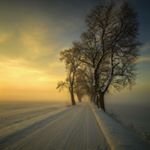 Profile Picture of Narges (@nargis_karimi1994) on Instagram