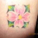 Profile Picture of kimnorthcutt (@kimnorthcutt) on Instagram