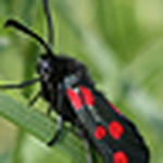 Profile Picture of Paul & Nay (@chataz) on Flickr