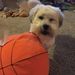 Profile Picture of Jonathan Watters (@jonwatters06) on Pinterest