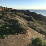 Profile Picture of Brad Bierbaum (@@bierbaumbrad) on Instagram