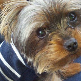 Profile Picture of Rex Serrano (@rex.serrano.9) on Facebook