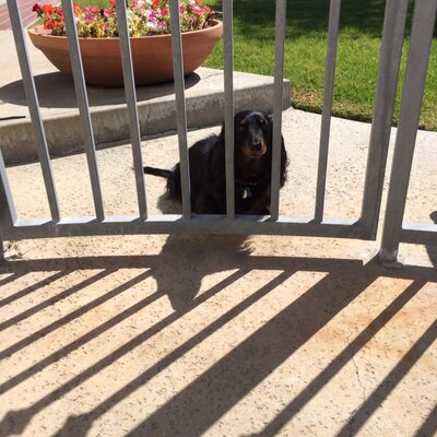 Marlene L. Brown - Twitter Profile Picture of Marlene L. Brown (@MarleneLBrown) on Twitter