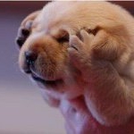 Bryan Pritchard - Instagram Profile Picture of Bryan Pritchard (@shonuff3d) on Instagram