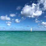 Profile Picture of chris_degennaro (@chris_degennaro) on Instagram