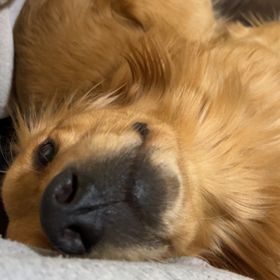 Profile Picture of Delaney Edwards (@delaneyedwards3) on Pinterest