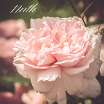 Profile Picture of Nath Piquenot (@nath piquenot mes balades entre terre et mer) on Flickr