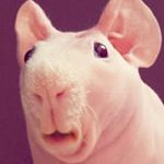 Profile Picture of Autumn (@nutterbutter21_) on Instagram