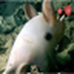 Profile Picture of Carlos  Ricci Bouvier. (@Carlos Ricci Abisal) on Flickr