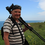 Profile Picture of kelvin harrison (@kelvin harrison1) on Flickr