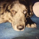 Profile Picture of Everett Watson (@everettjohnwatson) on Instagram