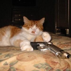Profile Picture of Wayne Conn (@wrong1974) on Myspace