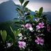 Profile Picture of Khai Dinh (@khai.dinh.3958914) on Facebook