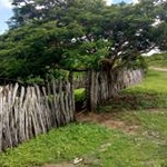 Profile Picture of antonia rocha (@antoniarocha6812) on Instagram