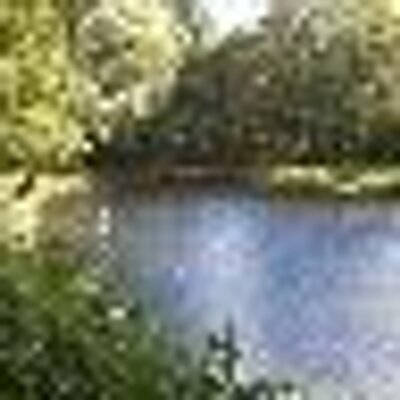 Profile Picture of Richard (@richardwiegman) on Twitter