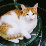 Ada Valdes Garay - Instagram Profile Picture of Ada Valdes Garay (@valdesgaray) on Instagram