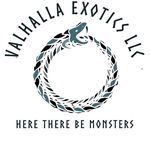 Profile Picture of Quality animals and husbandry products by Joseph Finley (@valhallaexotics) on Instagram