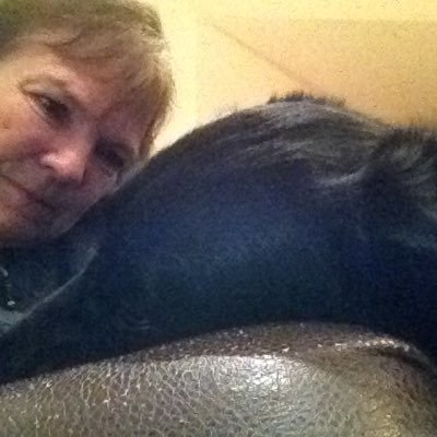 Profile Picture of Kay Persichitte (@KayPersichitte) on Twitter