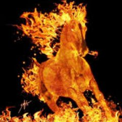 Profile Picture of Peter Robert Huffam (@PeterRHuffam) on Twitter