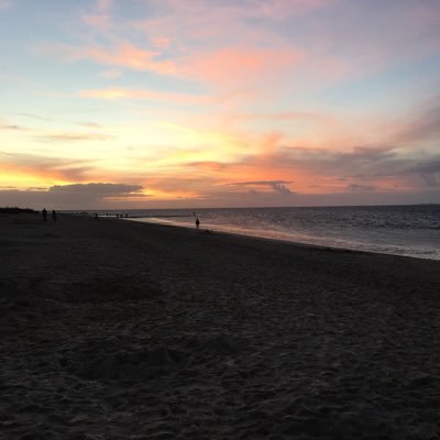 Alexander Behrens - Twitter Profile Picture of Alexander Behrens (@AlexanderBehr11) on Twitter