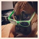 Profile Picture of Ulysses Alvarez (@ulysses_102) on Instagram