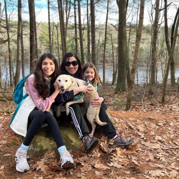 Profile Picture of Rachel Klein blasbalg (@rsblasbalg) on Poshmark