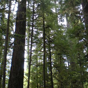 Profile Picture of mr.bingle19 (@patrickmcgeough6) on Tiktok