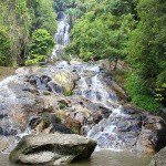 Profile Picture of Coddington (@coddingtonisi) on Instagram