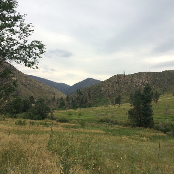 Profile Picture of Regan Gutschenritter (@regan27) on Poshmark