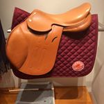 Profile Picture of EUN G🙋🏻💕신사동 꼬끄댁👩🏻‍🍳말 러버🐴💕 (@eun_g_lim) on Instagram