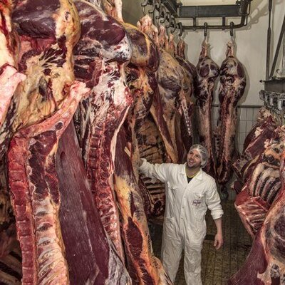 Profile Picture of Dick Wever (@vandalenvlees) on Twitter